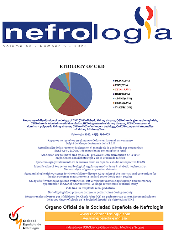 Go to journal home page - Nefrología (English Edition)